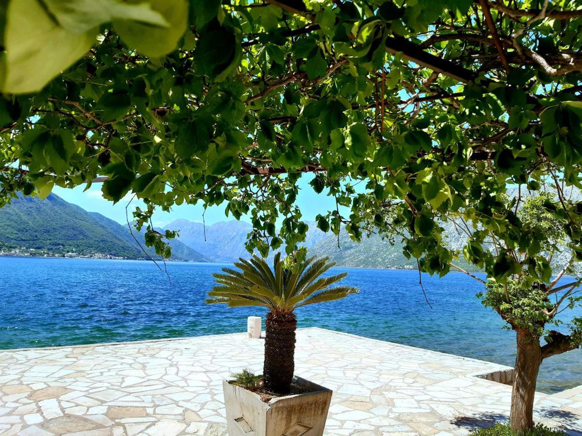Apartments Sonja Kotor Buitenkant foto